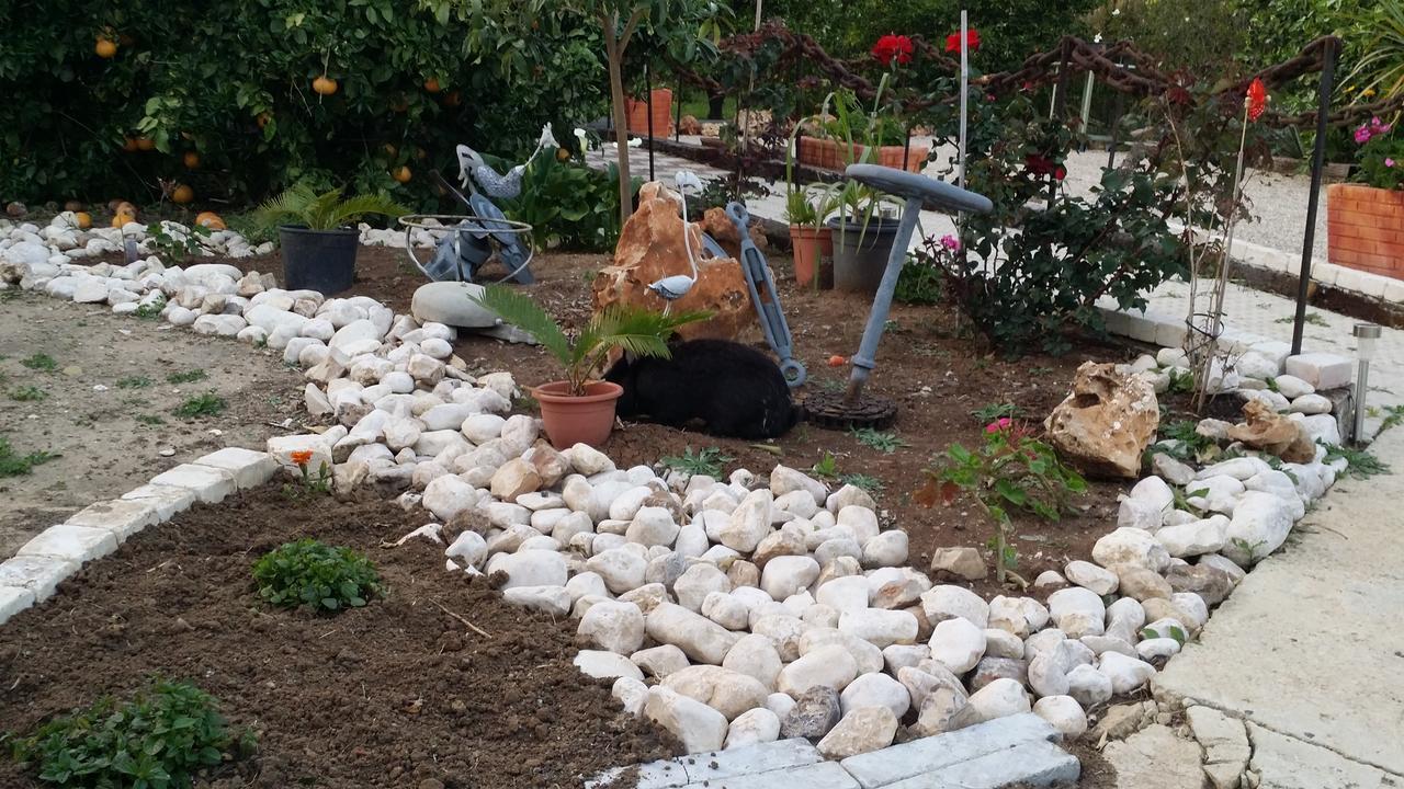 Asbn Magic Garden Vila Acre Exterior foto