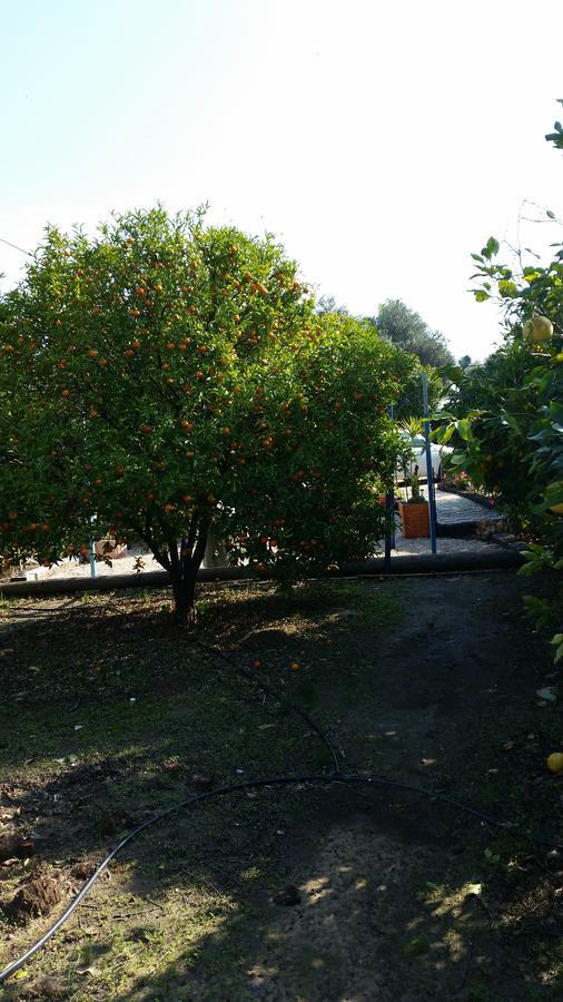 Asbn Magic Garden Vila Acre Exterior foto