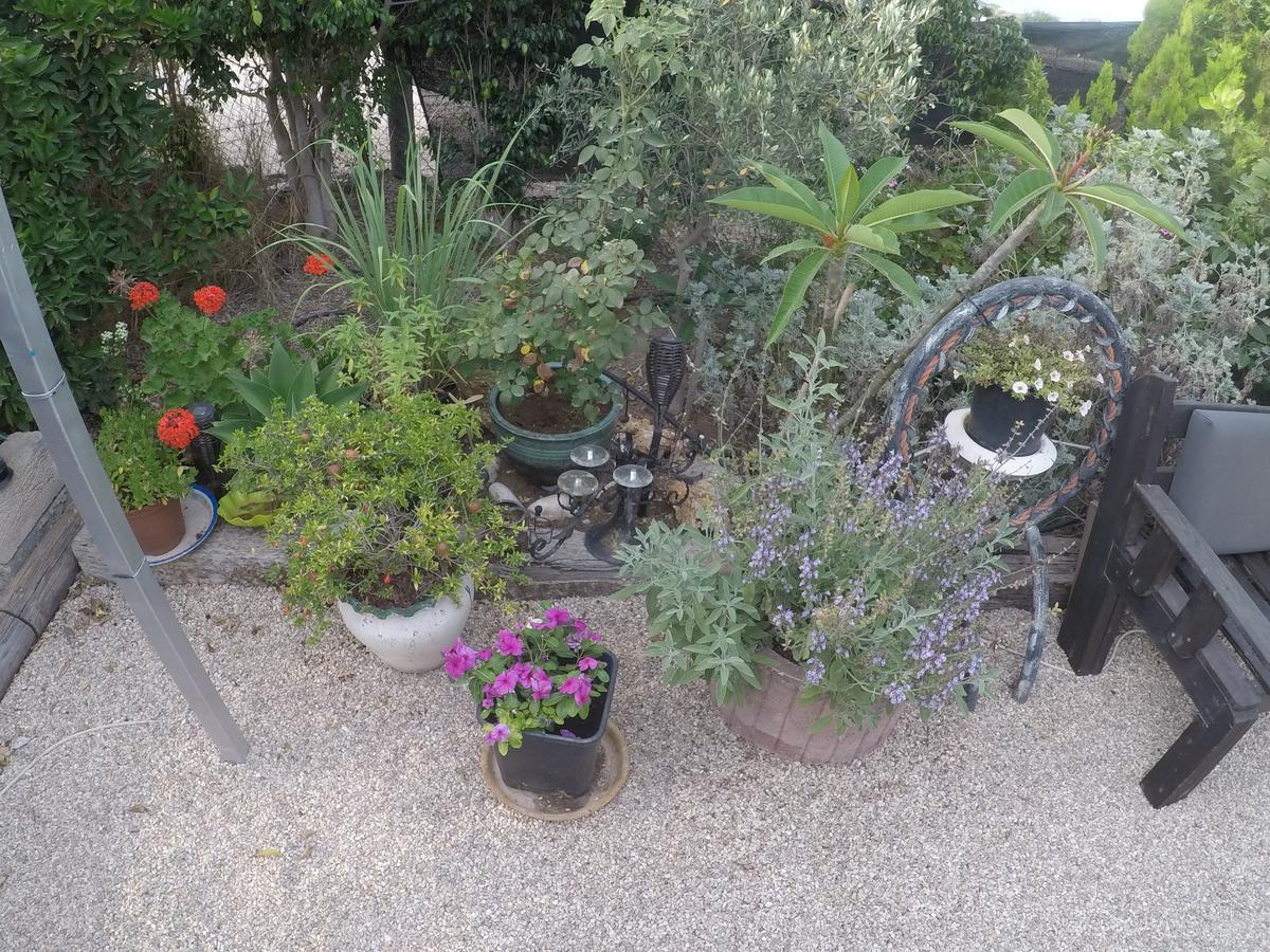 Asbn Magic Garden Vila Acre Exterior foto